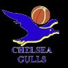 https://img.833zhibop.com.cn/img/basketball/team/0d36b73786230e17d7d718ab10adab87.png