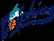https://img.833zhibop.com.cn/img/basketball/team/b49d4e6c00b446698132550f3e3c2c50.png