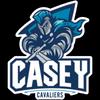 https://img.833zhibop.com.cn/img/basketball/team/b8a65220db7ddd56dbe48a16422151b3.png