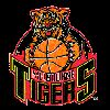 https://img.833zhibop.com.cn/img/basketball/team/c396165af2b9468b95db1864473952bb.png