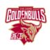 https://img.833zhibop.com.cn/img/basketball/team/d1d77f07287fe840a7e77459e5bd1bfc.png