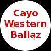 https://img.833zhibop.com.cn/img/basketball/team/f9030708ce294e999d51fe25f2faf591.png