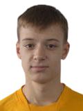 https://img.833zhibop.com.cn/img/football/player/12f09bbfdcf6c86a703655091c38d646.png
