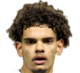 https://img.833zhibop.com.cn/img/football/player/19198e45f81a0add4651fdb6197a3d8c.png