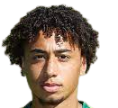 https://img.833zhibop.com.cn/img/football/player/347a6d58ae7ec0425a4d42bc9215c411.png