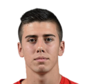 https://img.833zhibop.com.cn/img/football/player/58ea8201b780d463ed9d9c54005a6969.png