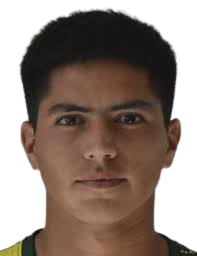https://img.833zhibop.com.cn/img/football/player/593ada0d7956416c62dcbb7289ee303b.png