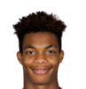 https://img.833zhibop.com.cn/img/football/player/a43d50faf8cdc53636c34f907fe5557f.png