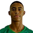 https://img.833zhibop.com.cn/img/football/player/cd5cce83a7575c862c2027e7a25a00cc.png