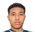 https://img.833zhibop.com.cn/img/football/player/d7bc71cad19fb7019c0a27186d554ad5.png
