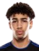 https://img.833zhibop.com.cn/img/football/player/fb7fd3390bdc25307ce54843fe6472dd.png