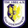 https://img.833zhibop.com.cn/img/football/team/0425718c842cc1330a6507bdde3c1da4.png