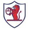 https://img.833zhibop.com.cn/img/football/team/11fb72f7b5eacfc881ee11bac75871fa.png