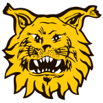 https://img.833zhibop.com.cn/img/football/team/9f170a9ffc15b4141b790f4ff042cc51.png