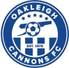 https://img.833zhibop.com.cn/img/football/team/c57774951b3b354cd3d1e0237087a661.png
