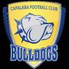 https://img.833zhibop.com.cn/img/football/team/da8bfcabb427caa8c01fbb244a1f77aa.png