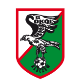 https://img.833zhibop.com.cn/img/football/team/e6a8908dd206e2ea02d9803c82c60bba.png